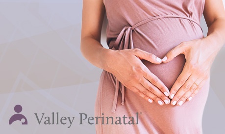 Valley Perinatal Services Website